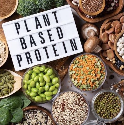 Plant Protein :